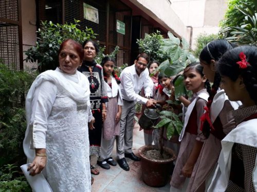 Central District Legal Services Authority organised Environment Legal Awareness Literacy Class at GGSS-Lami Gali school on 29-07-2017.