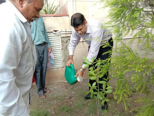 Green Drive was organized by North DLSA for plantation of trees at Rohini Court Complex,