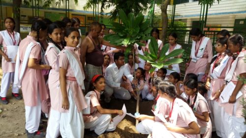 An Orientation/Awareness Programme on Environment Protection, Preservation, Conservation and Maintenance was conducted at N.P Bengali Girls Sr. Sec. School, Gole Market on 28.07.17 by Sh. Satya Ranjan Swain, LAC.