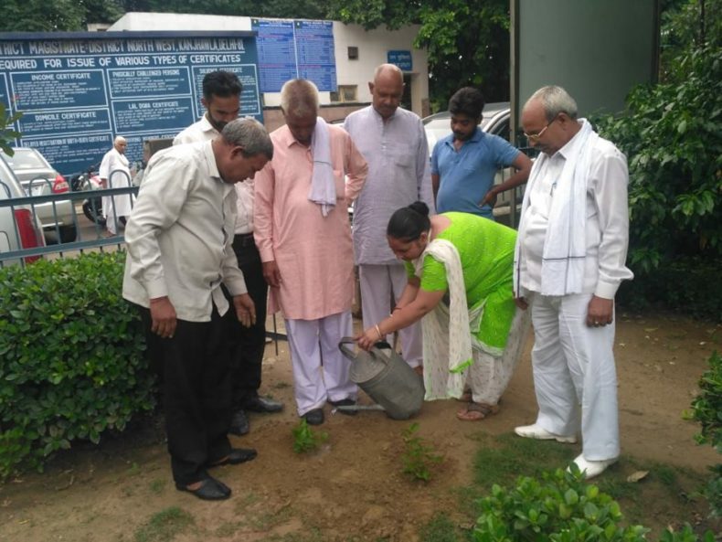 Plantation drive conducted by Dlsa NW at district Magistrate