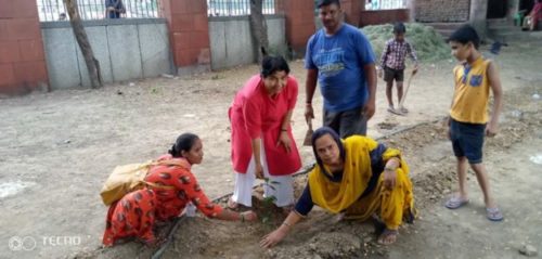 plantation drive conducted by Dlsa NW