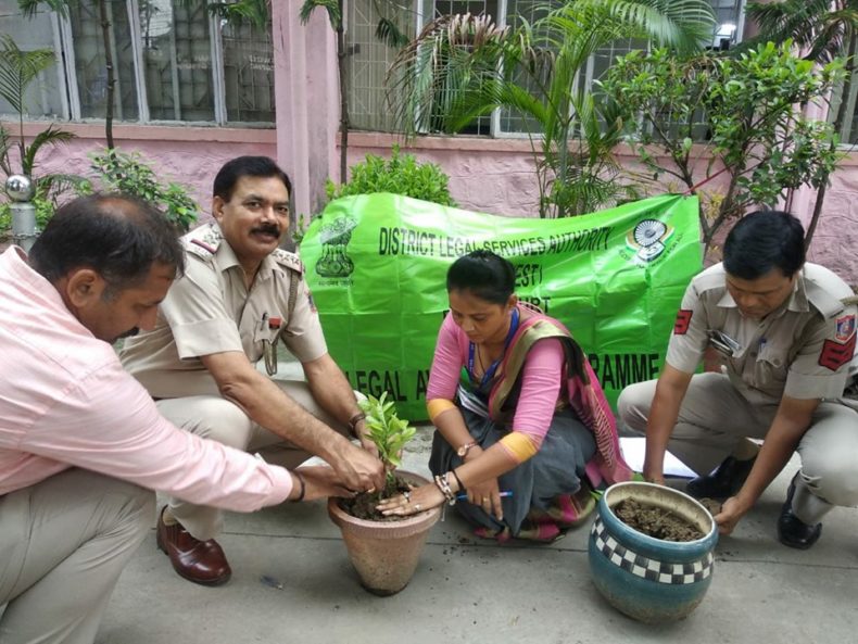 Plantation drive conducted by Dlsa NW