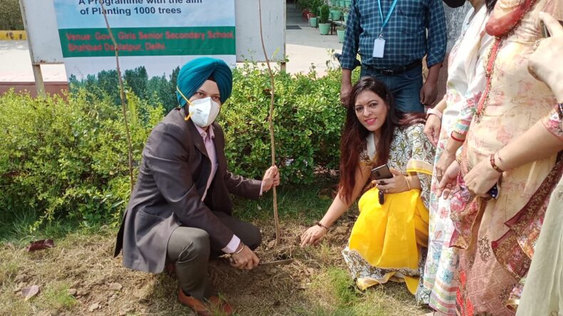 PLANTATION DRIVE at North District