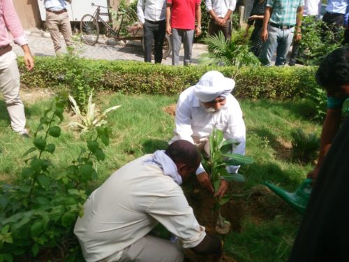 organized Plantation Drive for Celebration of “Van Mahotsav” & “International Day for the Preservation of the Ozone Layer”